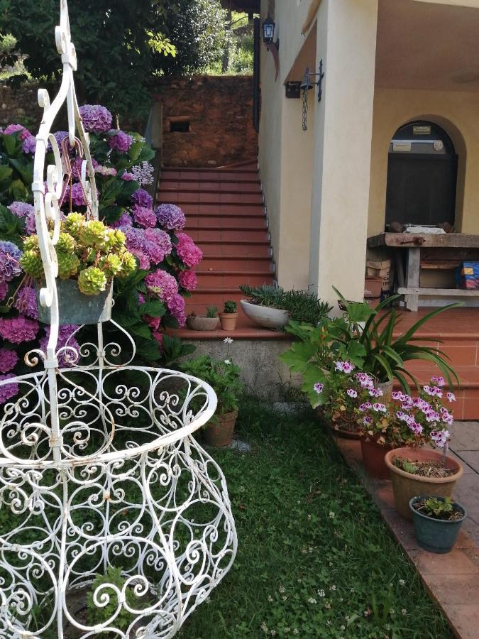 B&B Dal Brillante Seravezza Exterior foto
